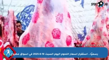 رسميًا.. استقرار أسعار اللحوم اليوم السبت 16-8-2025 في أسواق مطروح